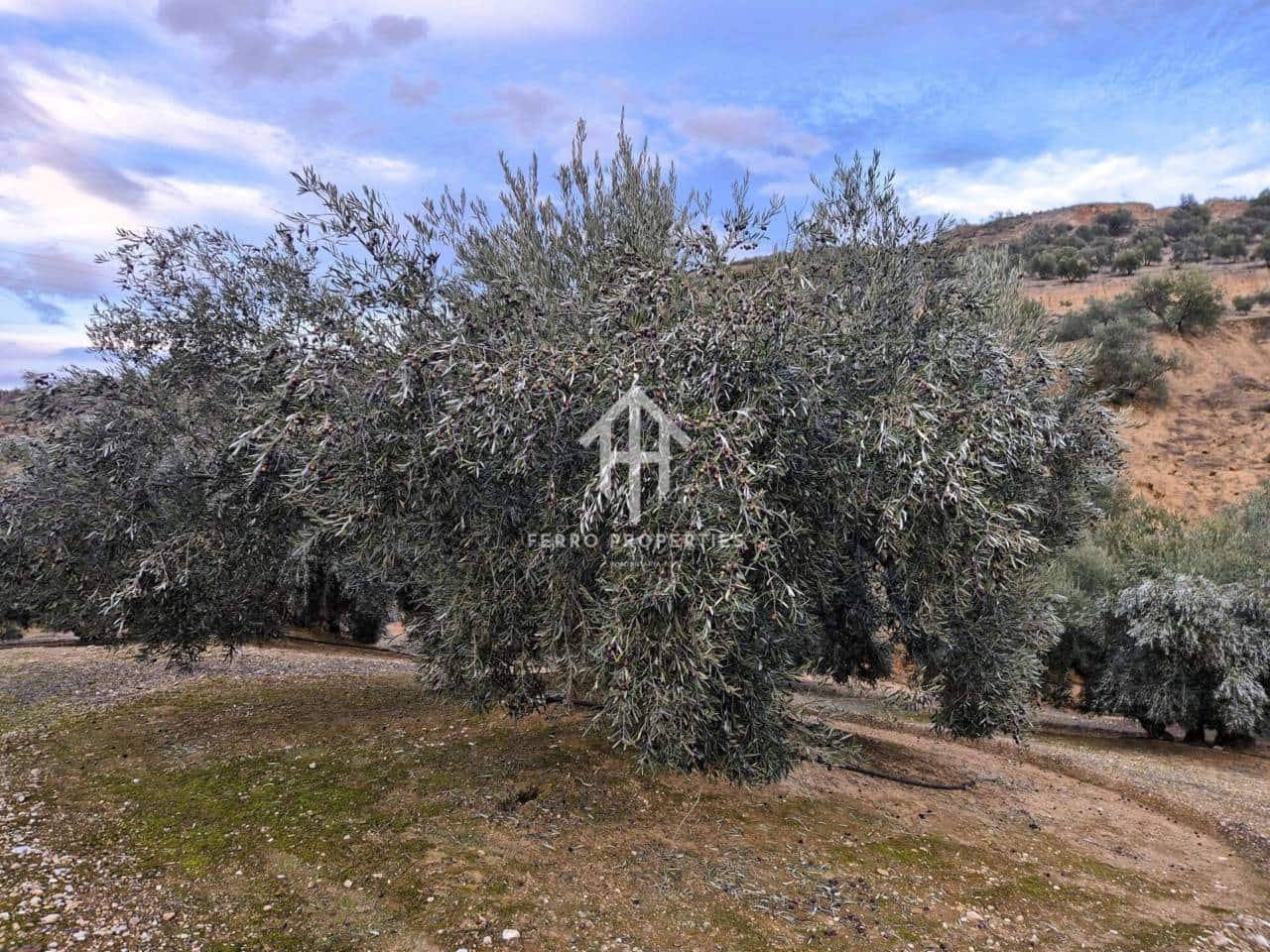 Finca/Country House for sale in Huetor Tajar - € 220,000 (Ref: 9503862)