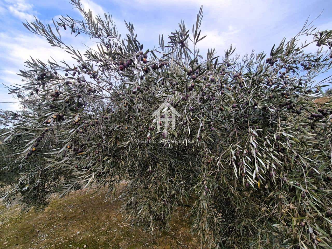 Finca/Country House for sale in Huetor Tajar - € 220,000 (Ref: 9503862)