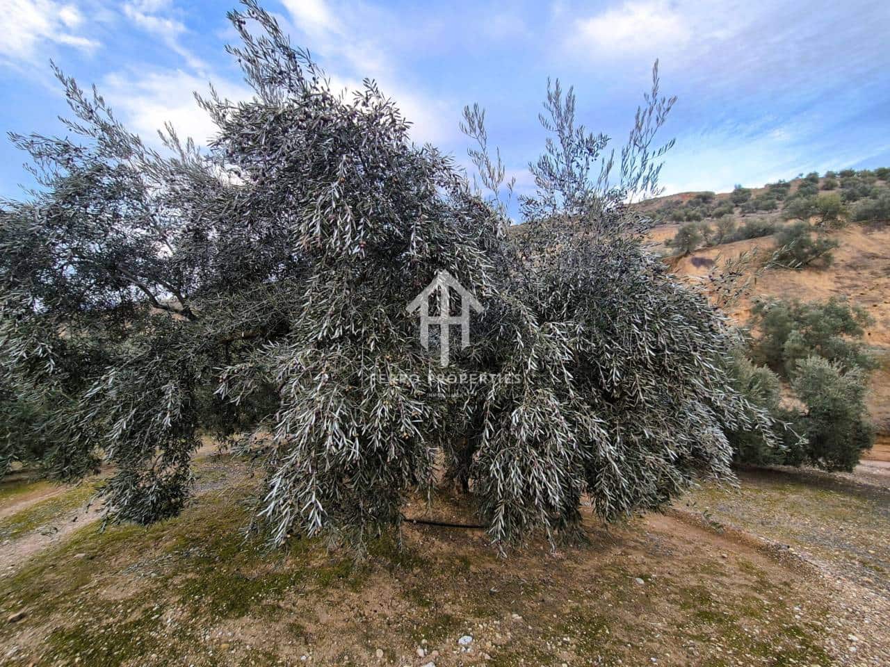 Finca/Country House for sale in Huetor Tajar - € 220,000 (Ref: 9503862)