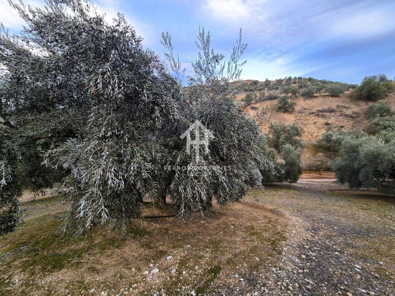 Finca/Country House for sale in Huetor Tajar - € 220,000 (Ref: 9503862)