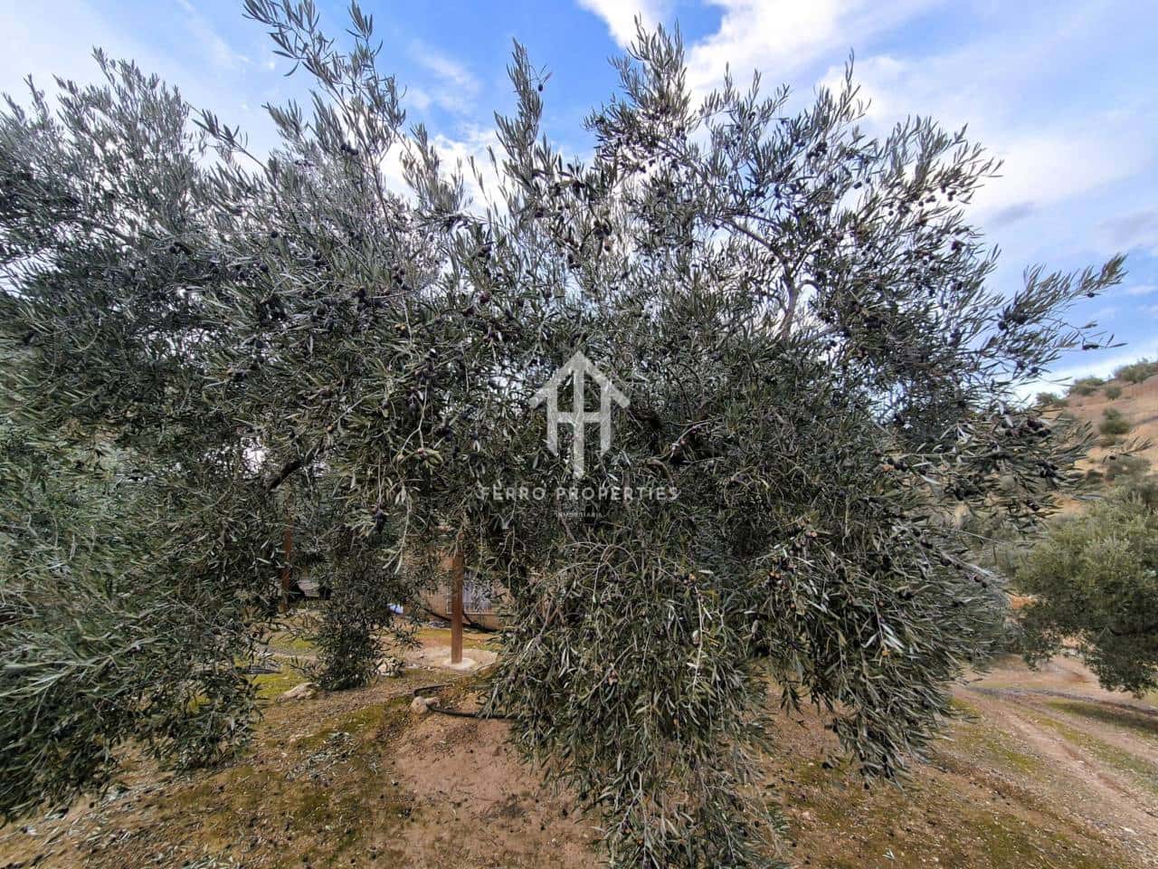 Finca/Country House for sale in Huetor Tajar - € 220,000 (Ref: 9503862)