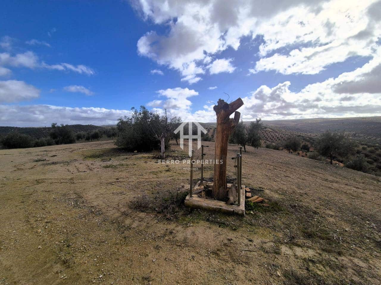 Landgrundstück zu verkaufen in Salar - 2.200.000 € (Ref: 9643669)