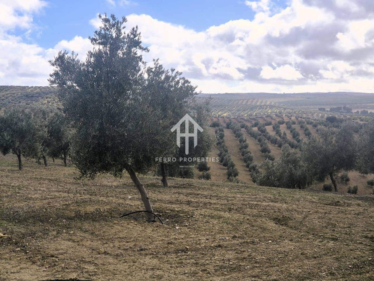 Landgrundstück zu verkaufen in Salar - 2.200.000 € (Ref: 9643669)