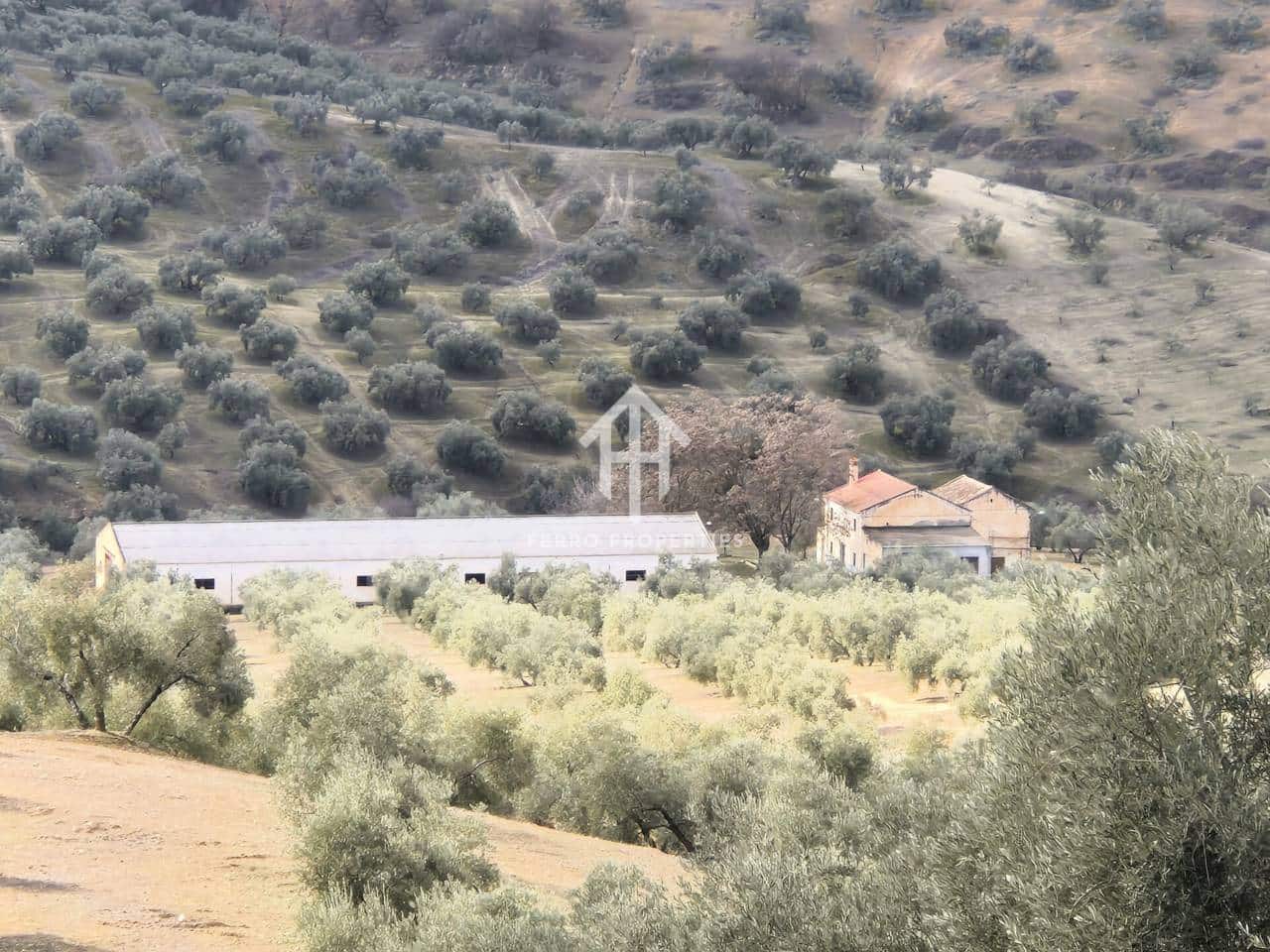 Landgrundstück zu verkaufen in Salar - 2.200.000 € (Ref: 9643669)