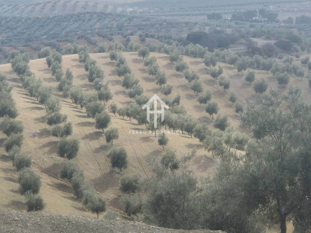 Landgrundstück zu verkaufen in Salar - 2.200.000 € (Ref: 9643669)