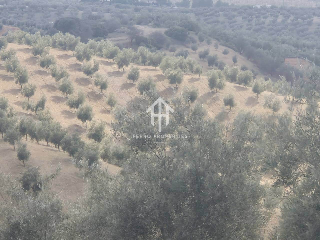 Landgrundstück zu verkaufen in Salar - 2.200.000 € (Ref: 9643669)