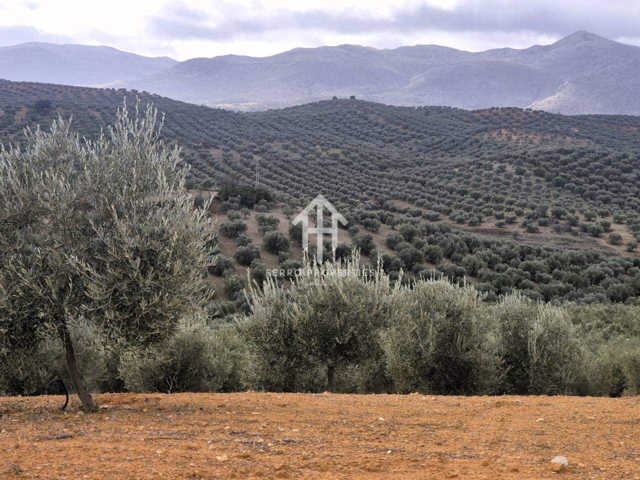 Landgrundstück zu verkaufen in Salar - 2.200.000 € (Ref: 9643669)