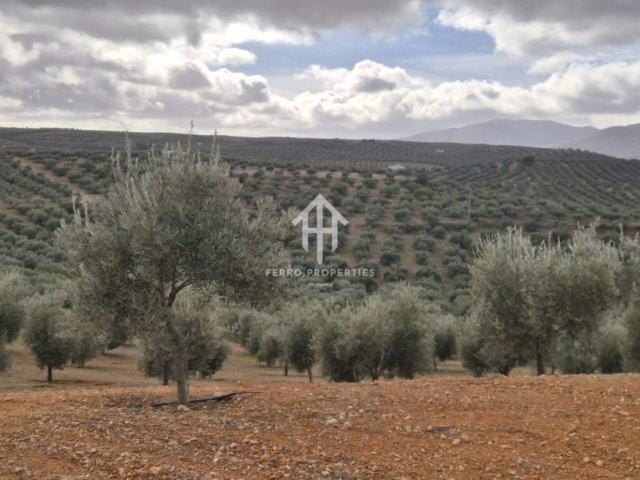 Landgrundstück zu verkaufen in Salar - 2.200.000 € (Ref: 9643669)