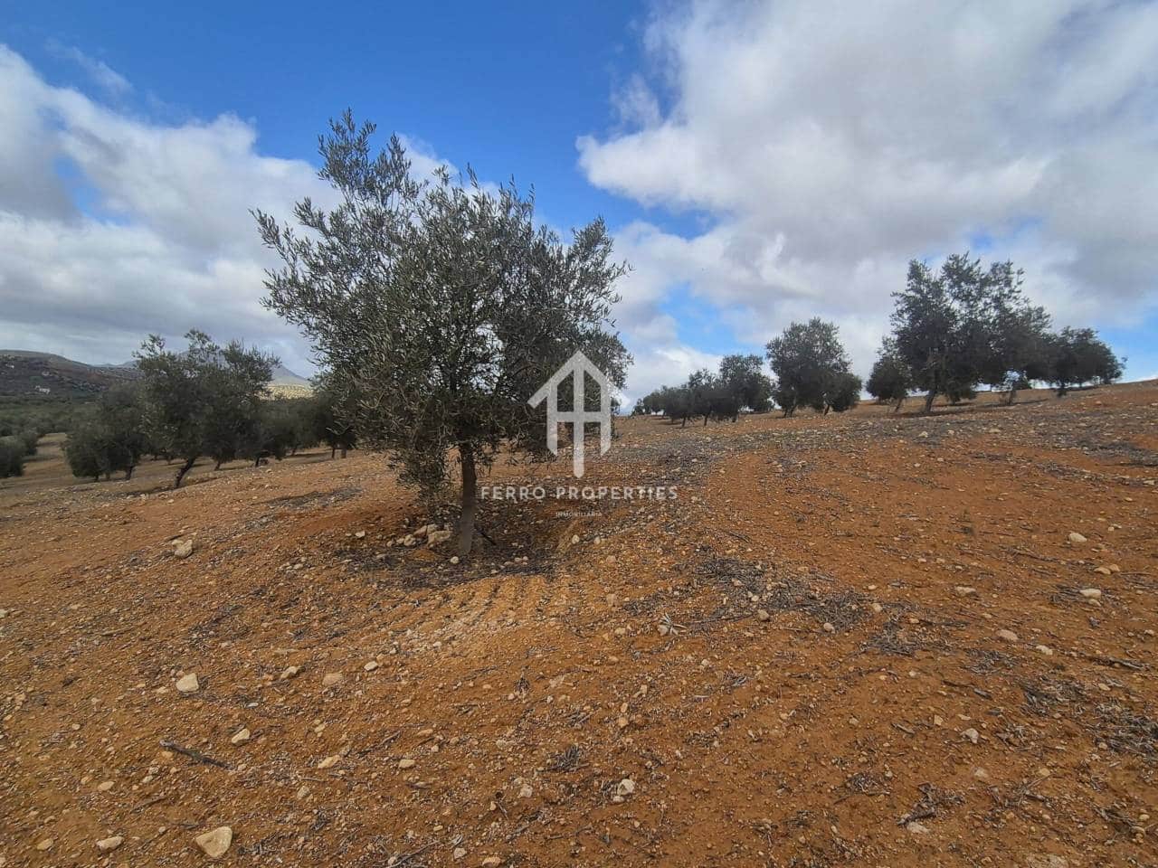 Landgrundstück zu verkaufen in Salar - 2.200.000 € (Ref: 9643669)