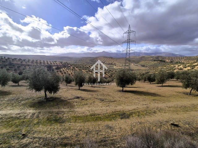 Landgrundstück zu verkaufen in Salar - 2.200.000 € (Ref: 9643669)