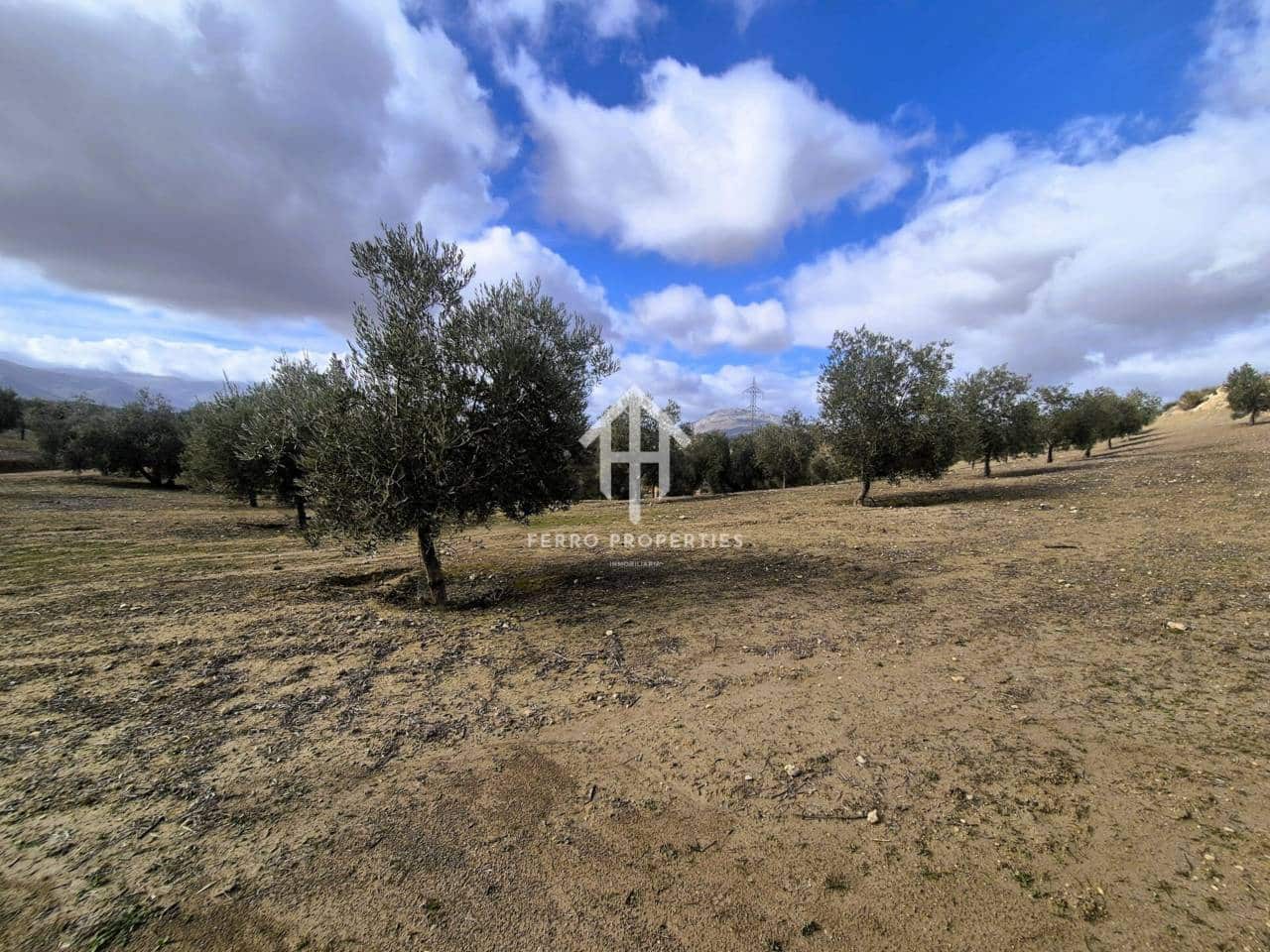 Landgrundstück zu verkaufen in Salar - 2.200.000 € (Ref: 9643669)