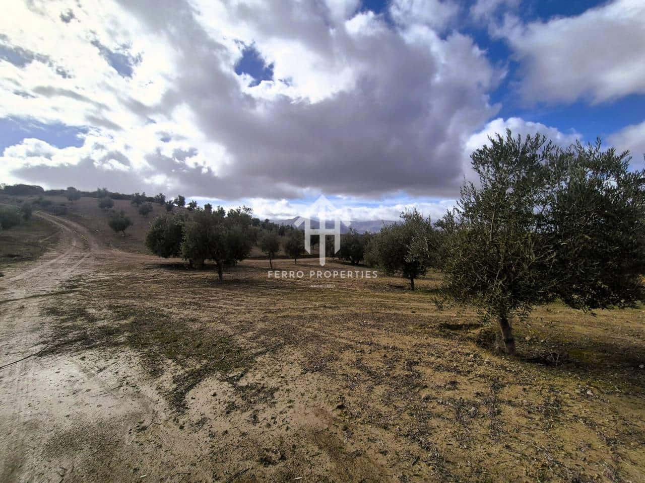 Landgrundstück zu verkaufen in Salar - 2.200.000 € (Ref: 9643669)