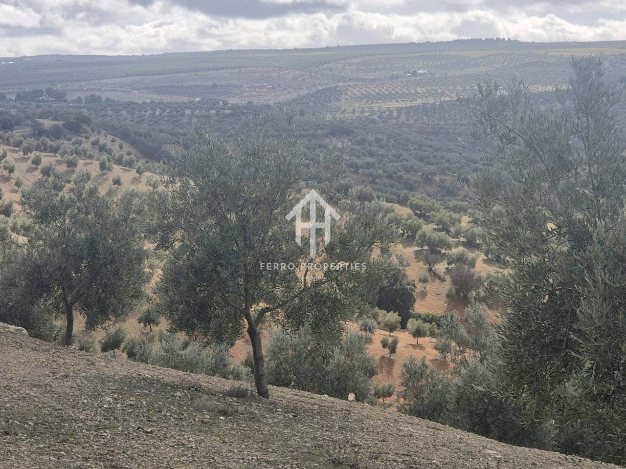 Landgrundstück zu verkaufen in Salar - 2.200.000 € (Ref: 9643669)