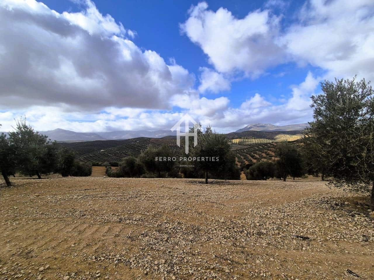 Landgrundstück zu verkaufen in Salar - 2.200.000 € (Ref: 9643669)