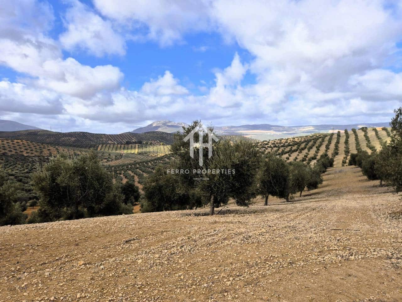 Landgrundstück zu verkaufen in Salar - 2.200.000 € (Ref: 9643669)