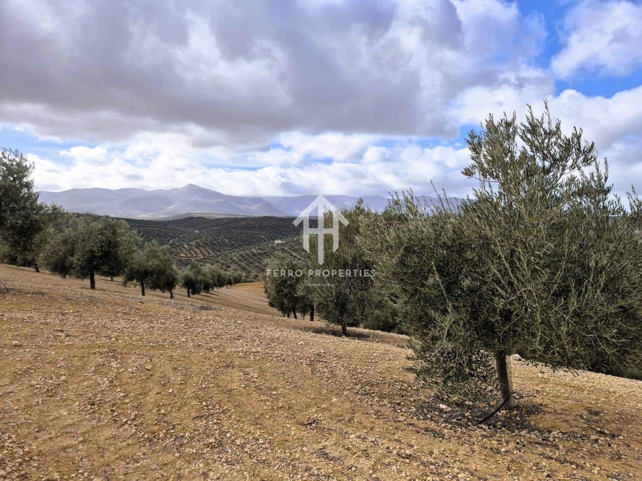 Landgrundstück zu verkaufen in Salar - 2.200.000 € (Ref: 9643669)