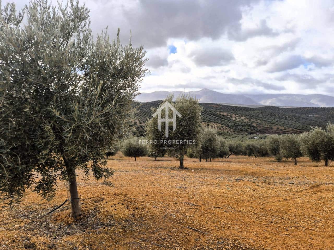 Landgrundstück zu verkaufen in Salar - 2.200.000 € (Ref: 9643669)