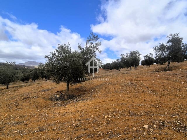 Landgrundstück zu verkaufen in Salar - 2.200.000 € (Ref: 9643669)