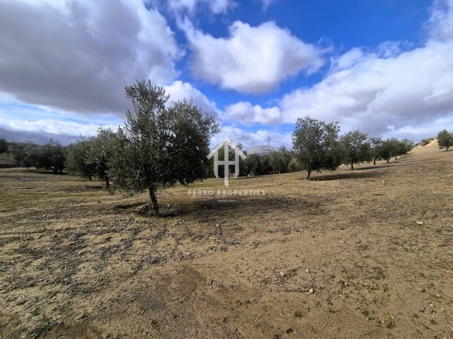 Landgrundstück zu verkaufen in Salar - 2.200.000 € (Ref: 9643669)