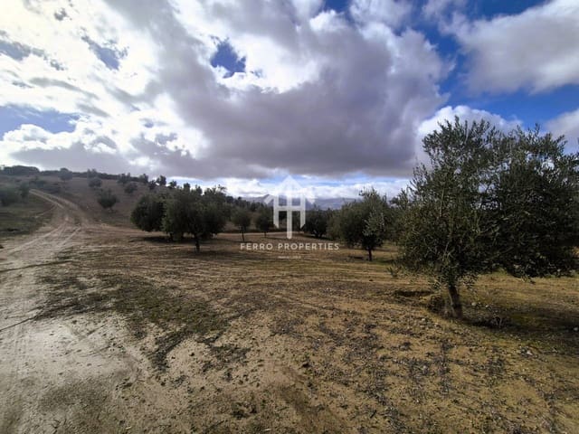 Landgrundstück zu verkaufen in Salar - 2.200.000 € (Ref: 9643669)