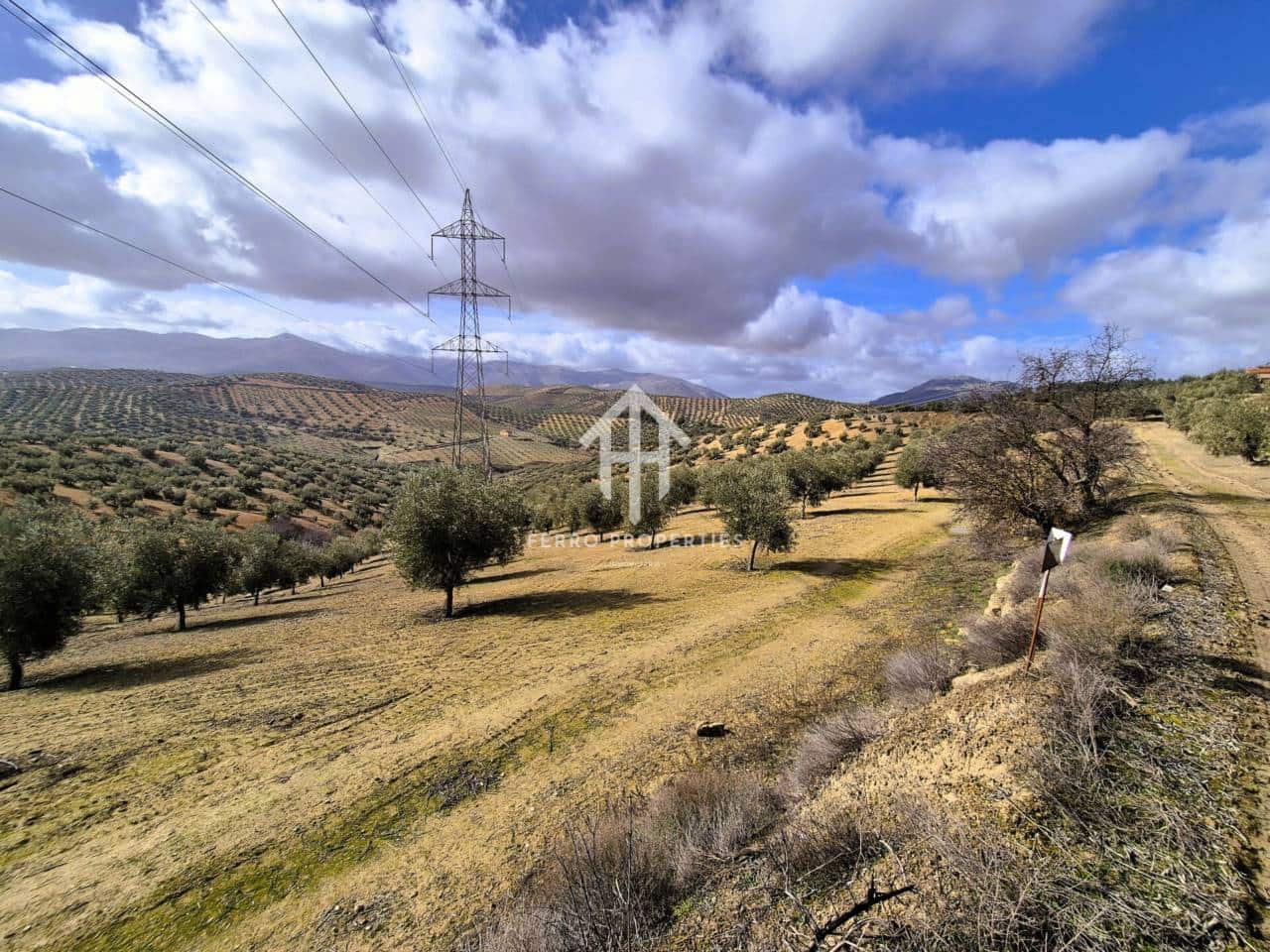 Landgrundstück zu verkaufen in Salar - 2.200.000 € (Ref: 9643669)