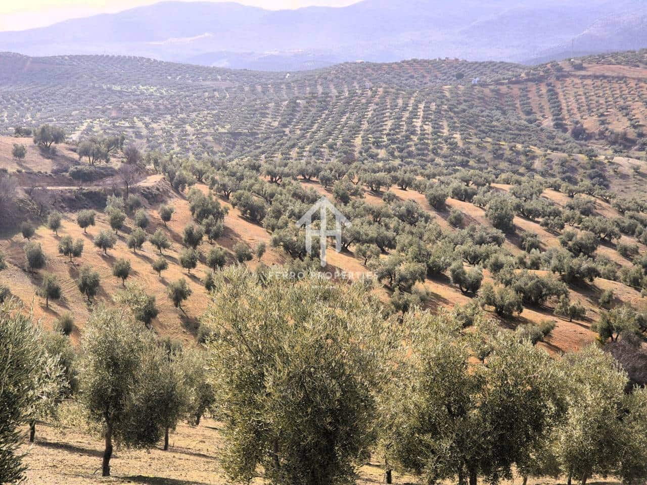 Landgrundstück zu verkaufen in Salar - 2.200.000 € (Ref: 9643669)