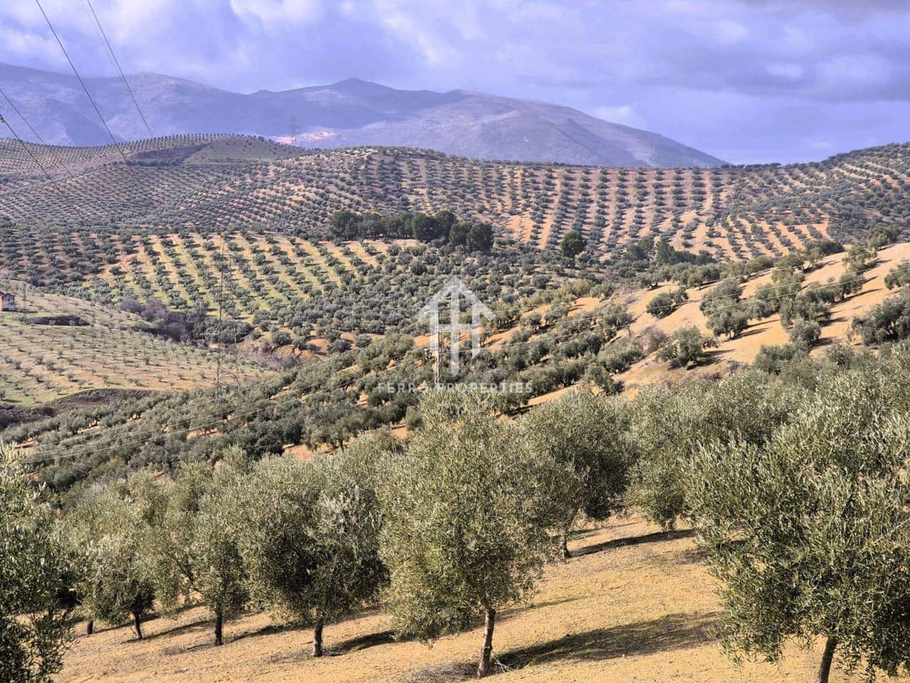 Landgrundstück zu verkaufen in Salar - 2.200.000 € (Ref: 9643669)