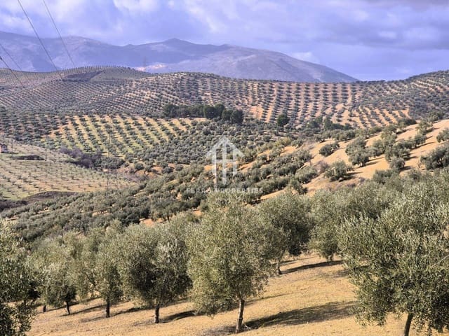 Landgrundstück zu verkaufen in Salar - 2.200.000 € (Ref: 9643669)