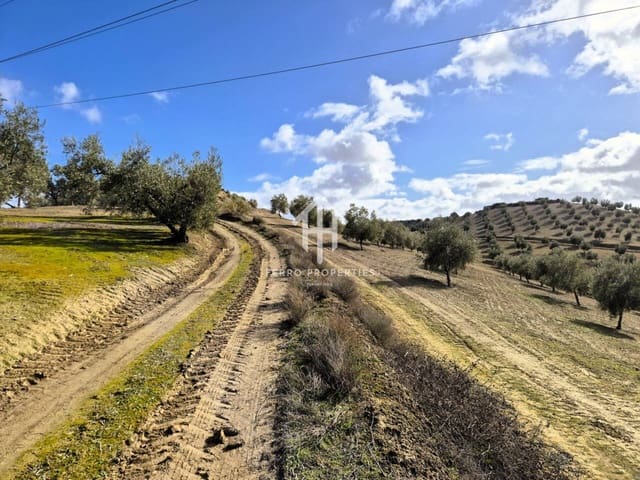 Landgrundstück zu verkaufen in Salar - 2.200.000 € (Ref: 9643669)