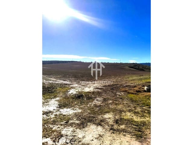 Mark till salu i Moraleda de Zafayona - 430 000 € (Ref: 9651056)