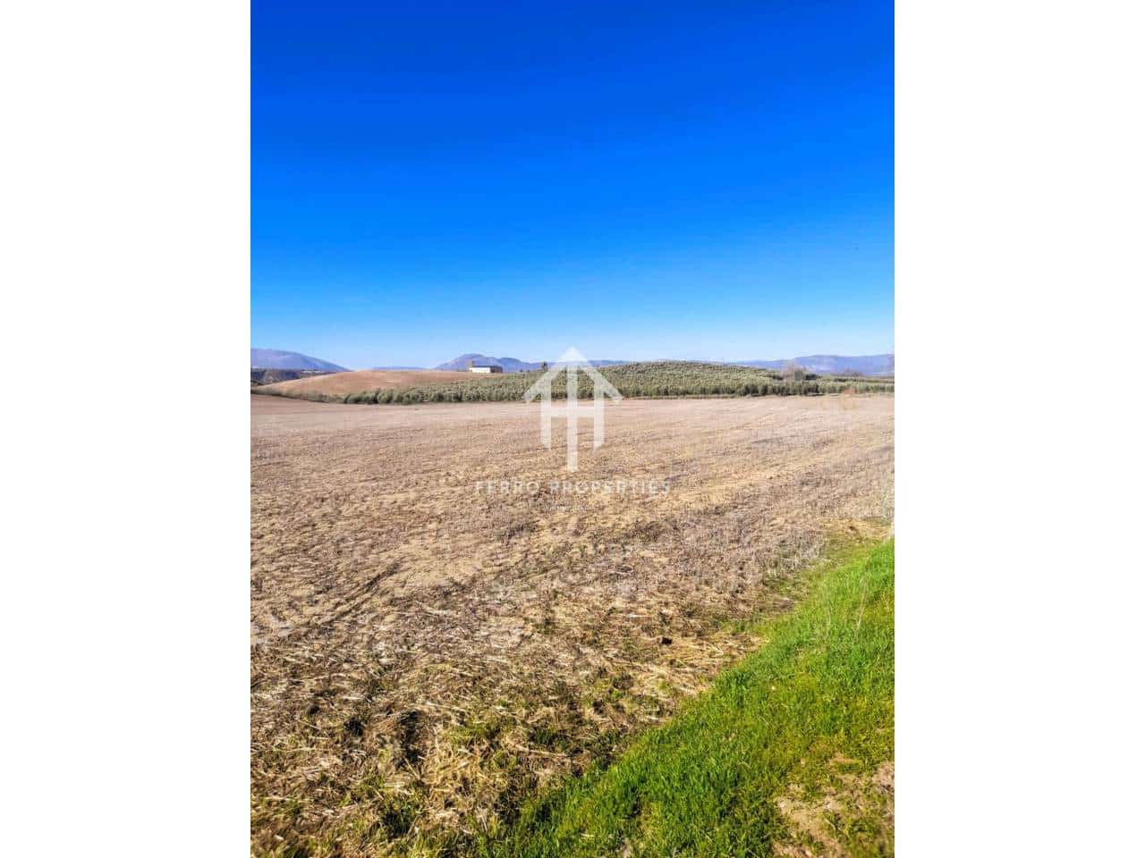 Mark till salu i Moraleda de Zafayona - 430 000 € (Ref: 9651056)