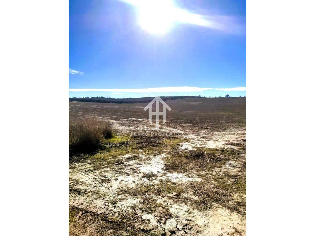 Mark till salu i Moraleda de Zafayona - 430 000 € (Ref: 9651056)