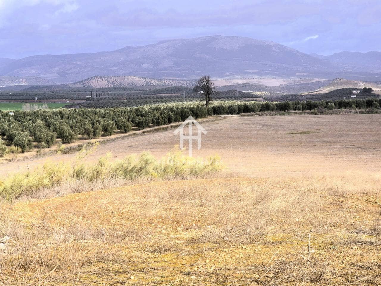 Mark till salu i Moraleda de Zafayona - 430 000 € (Ref: 9651056)