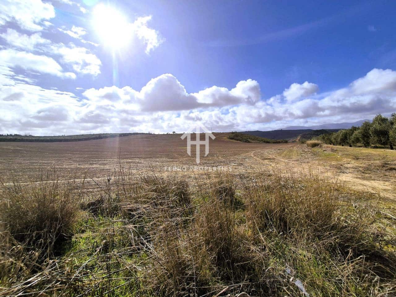 Mark till salu i Moraleda de Zafayona - 430 000 € (Ref: 9651056)