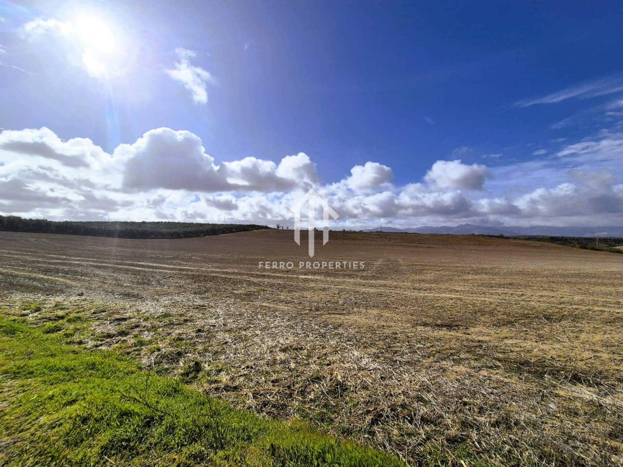 Mark till salu i Moraleda de Zafayona - 430 000 € (Ref: 9651056)