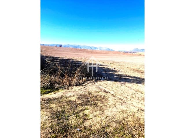 Mark till salu i Moraleda de Zafayona - 430 000 € (Ref: 9651056)