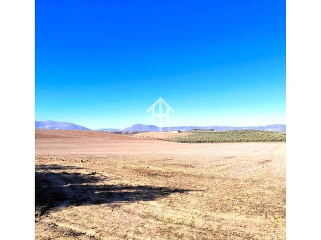 Mark till salu i Moraleda de Zafayona - 430 000 € (Ref: 9651056)