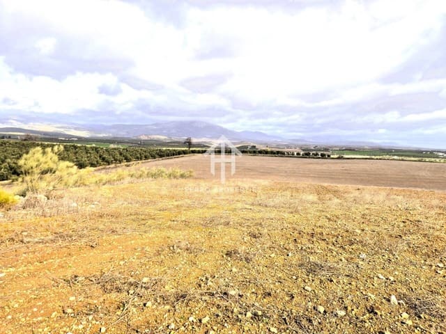 Mark till salu i Moraleda de Zafayona - 430 000 € (Ref: 9651056)