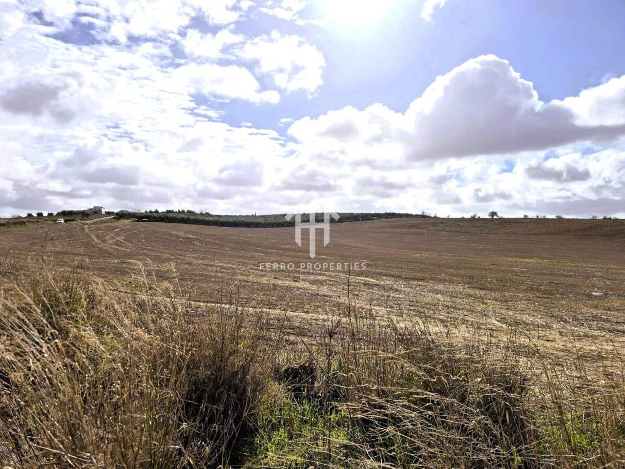 Mark till salu i Moraleda de Zafayona - 430 000 € (Ref: 9651056)