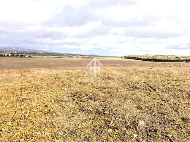 Mark till salu i Moraleda de Zafayona - 430 000 € (Ref: 9651056)