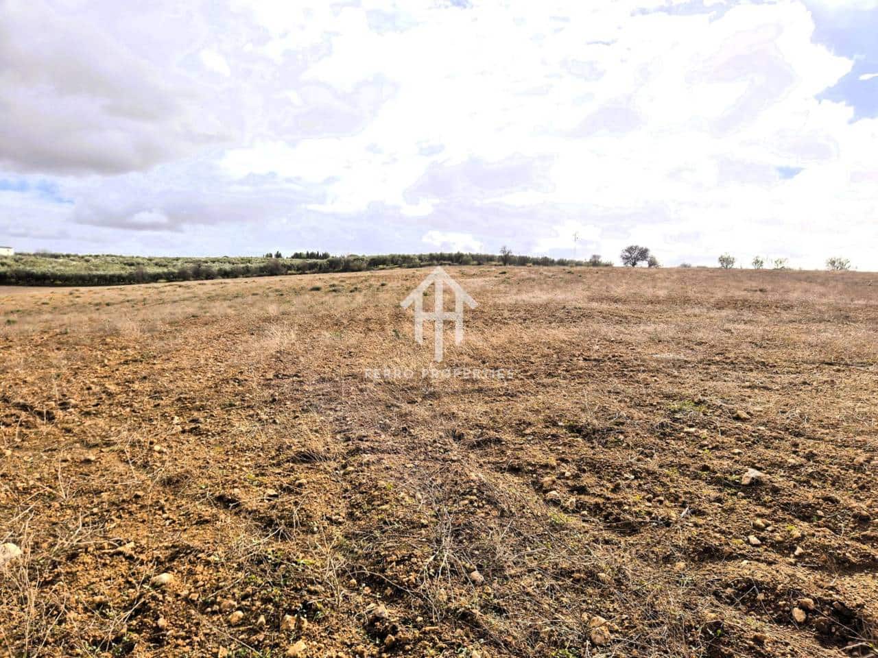 Mark till salu i Moraleda de Zafayona - 430 000 € (Ref: 9651056)