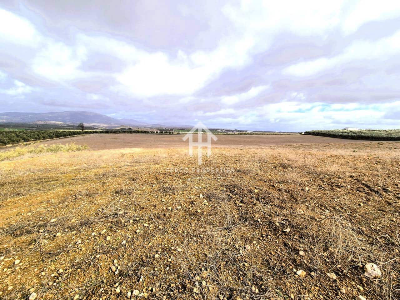 Mark till salu i Moraleda de Zafayona - 430 000 € (Ref: 9651056)