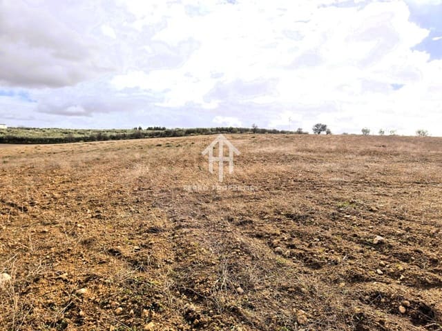 Mark till salu i Moraleda de Zafayona - 430 000 € (Ref: 9651056)