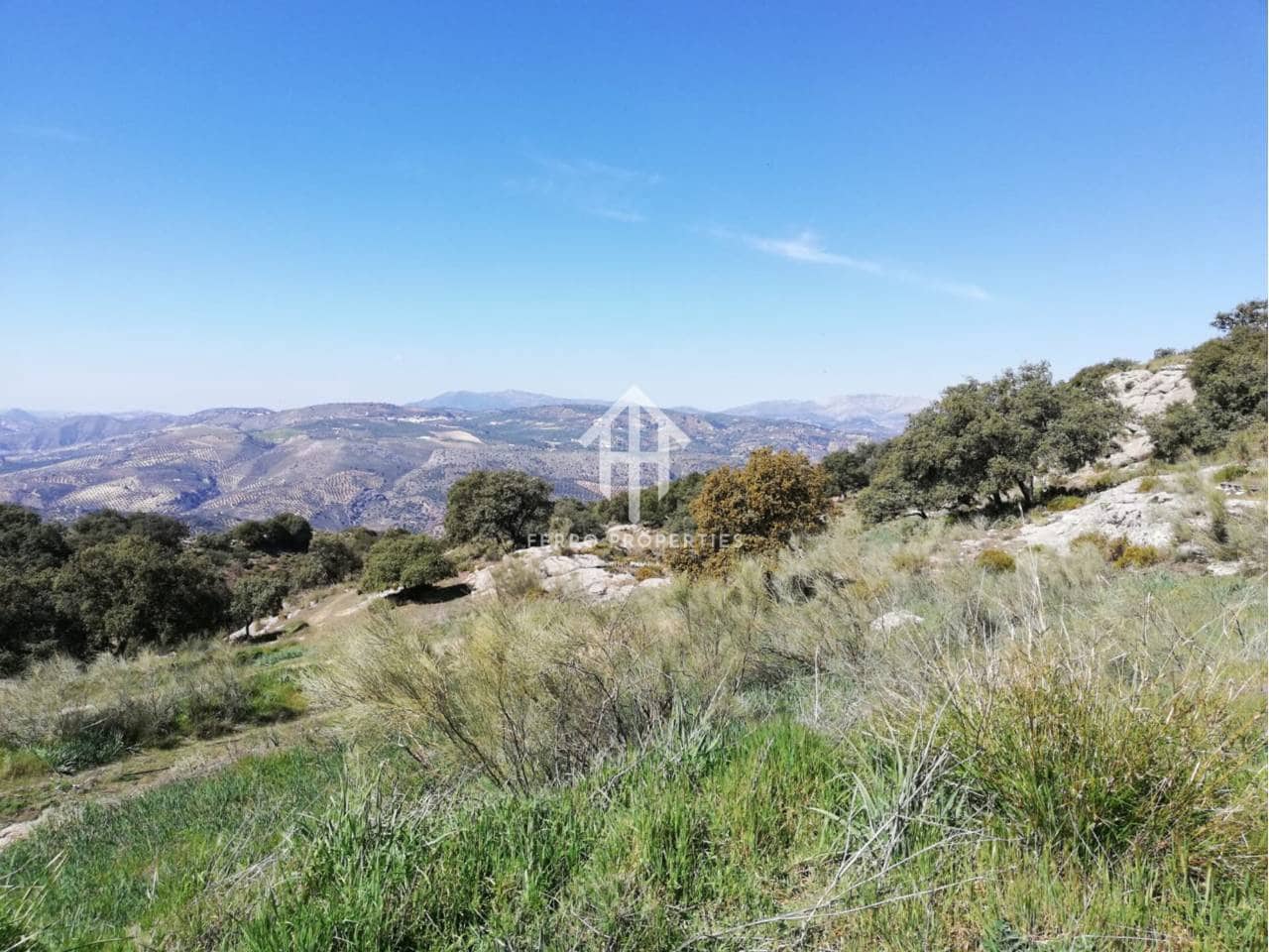 2 chambre Finca/Maison de Campagne à vendre à Zagra - 120 000 € (Ref: 9651057)