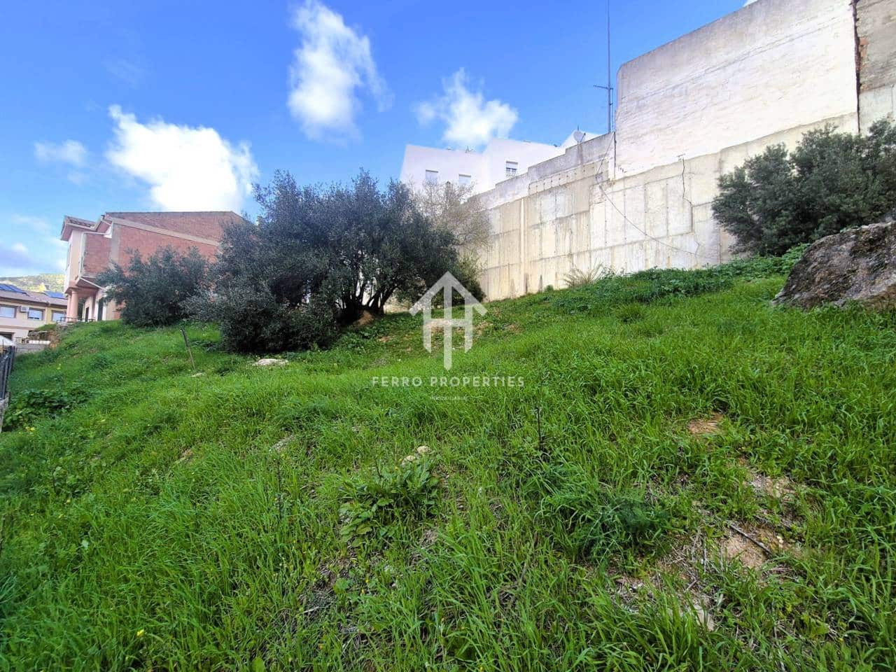 Tontti myytävänä paikassa Loja - 36 000 € (Ref: 9654539)