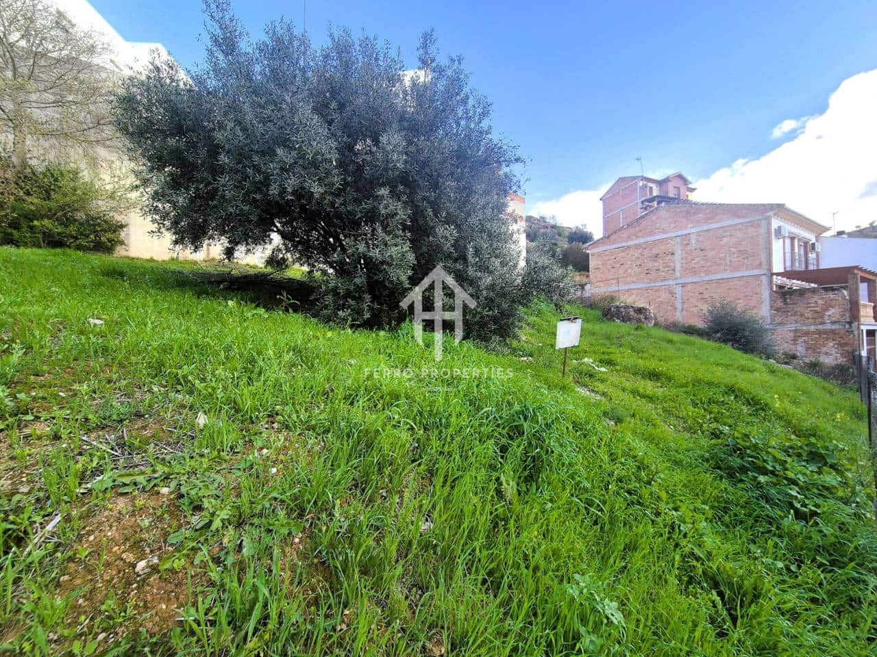 Tontti myytävänä paikassa Loja - 36 000 € (Ref: 9654539)