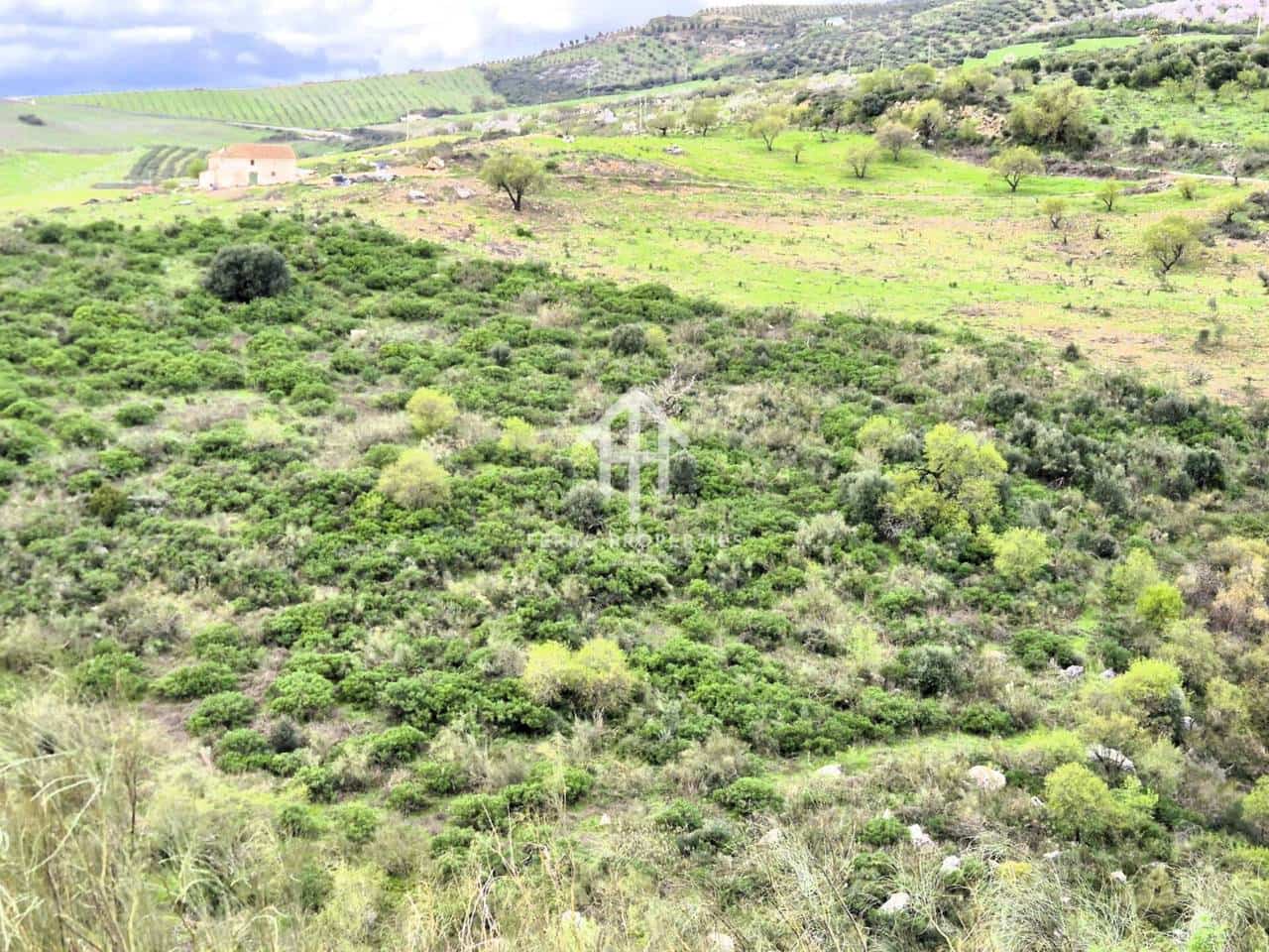 Teren niezagospodarowany na sprzedaż w Antequera - 49 900 € (Ref: 9665734)