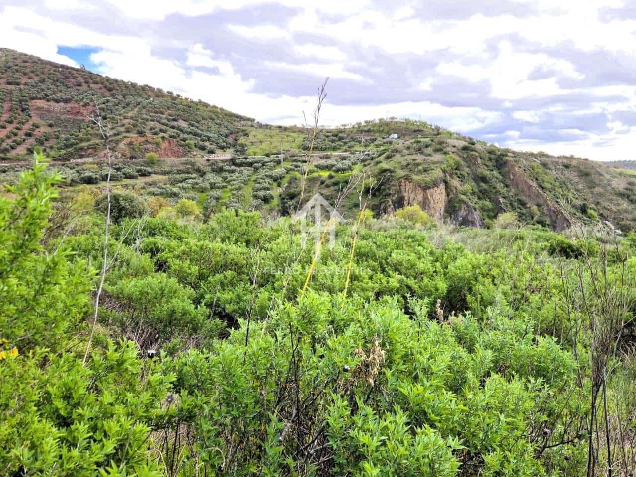 Teren niezagospodarowany na sprzedaż w Antequera - 49 900 € (Ref: 9665734)