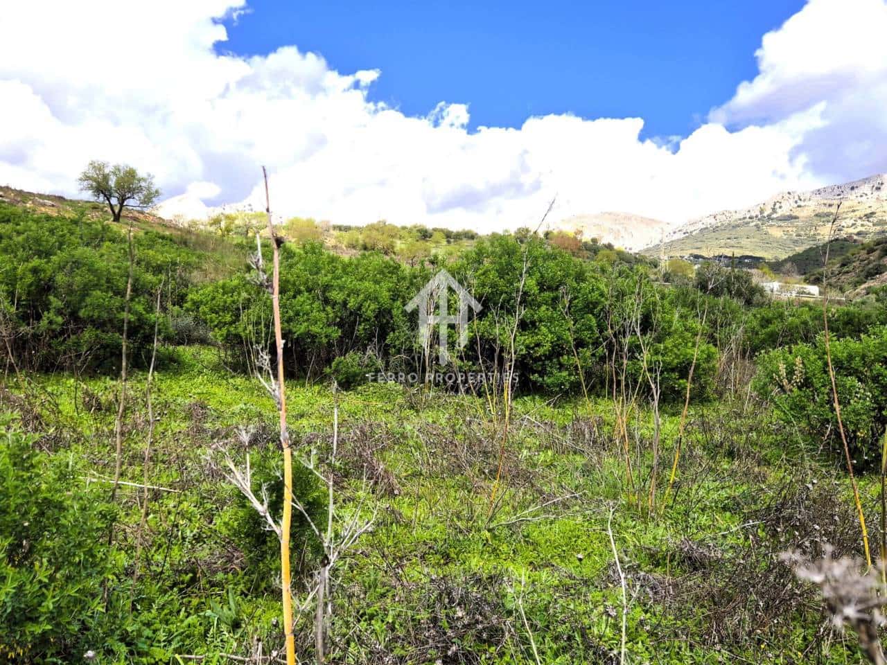 Teren niezagospodarowany na sprzedaż w Antequera - 49 900 € (Ref: 9665734)