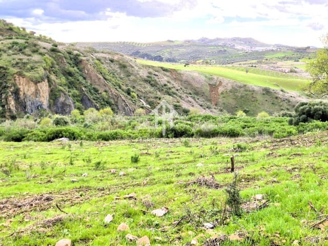 Terre non Aménagée à vendre à Antequera - 49 900 € (Ref: 9665734)